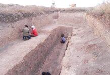 Prehistoric earthquakes and snail shells may give future insights