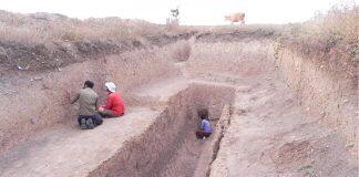 Prehistoric earthquakes and snail shells may give future insights