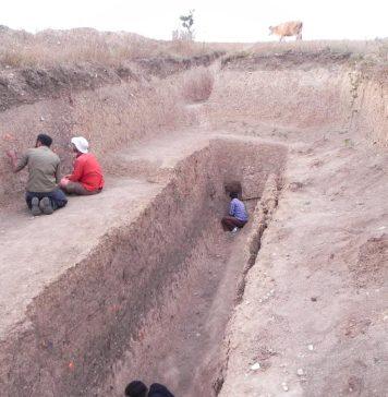 Prehistoric earthquakes and snail shells may give future insights