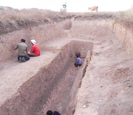 Prehistoric earthquakes and snail shells may give future insights