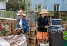 Why you should start composting now