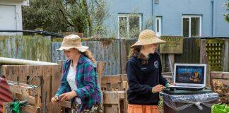 Why you should start composting now