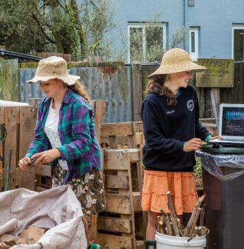 Why you should start composting now