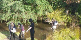 Students wade in to use Biodiversity Box