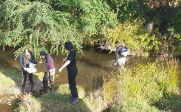 Students wade in to use Biodiversity Box