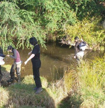 Students wade in to use Biodiversity Box