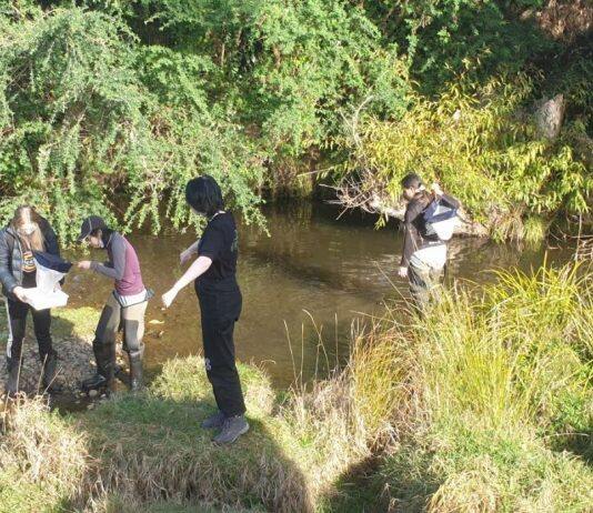 Students wade in to use Biodiversity Box