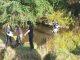 Students wade in to use Biodiversity Box