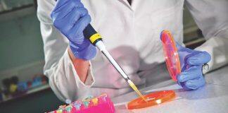 University of Hull hits research high – as one of highest risers in UK