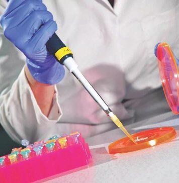 University of Hull hits research high – as one of highest risers in UK