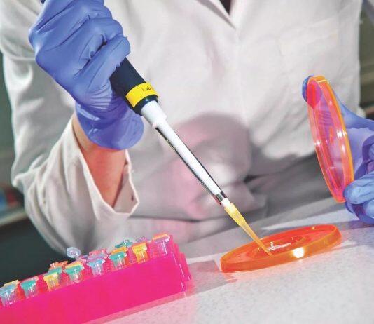 University of Hull hits research high – as one of highest risers in UK