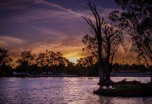 Watershed moment for Murray-Darling with major new funding