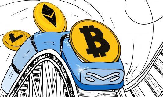 Riding the crypto rollercoaster