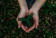 TikTok campaign to inspire environmental action among secondary school pupils unveiled by Kingston School of Art students