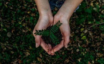 TikTok campaign to inspire environmental action among secondary school pupils unveiled by Kingston School of Art students