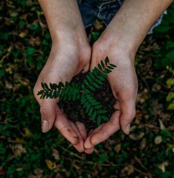 TikTok campaign to inspire environmental action among secondary school pupils unveiled by Kingston School of Art students