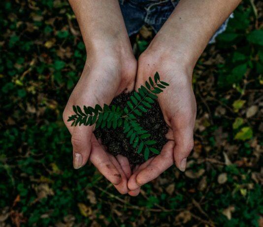 TikTok campaign to inspire environmental action among secondary school pupils unveiled by Kingston School of Art students