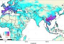 Mapping hotspots for bats may help scientists prepare for future bat-to-human viral outbreaks