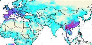 Mapping hotspots for bats may help scientists prepare for future bat-to-human viral outbreaks