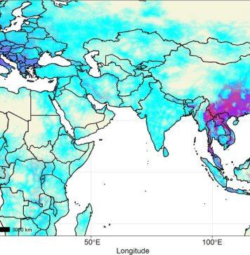 Mapping hotspots for bats may help scientists prepare for future bat-to-human viral outbreaks