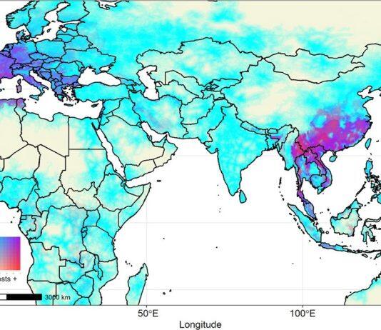 Mapping hotspots for bats may help scientists prepare for future bat-to-human viral outbreaks