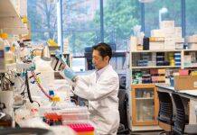 Unlocking the mysteries of cell migration