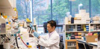 Unlocking the mysteries of cell migration