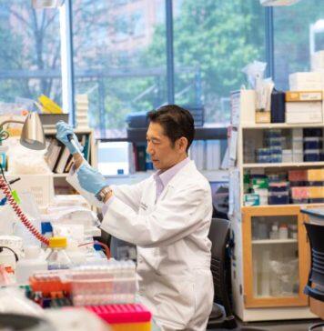Unlocking the mysteries of cell migration