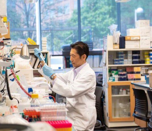 Unlocking the mysteries of cell migration