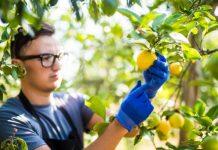 Riverland bootcamp boosts AgTech innovation