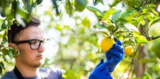 Riverland bootcamp boosts AgTech innovation