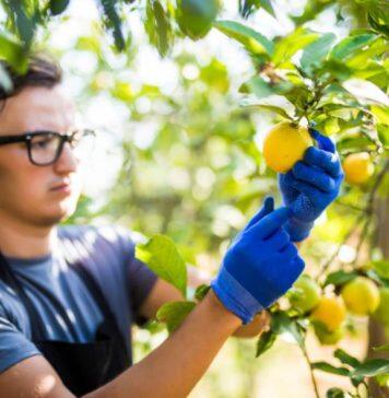 Riverland bootcamp boosts AgTech innovation
