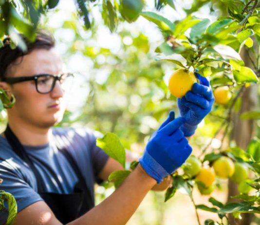 Riverland bootcamp boosts AgTech innovation
