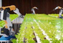 Can robotics help us achieve sustainable development?