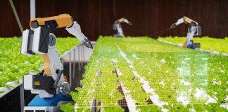 Can robotics help us achieve sustainable development?