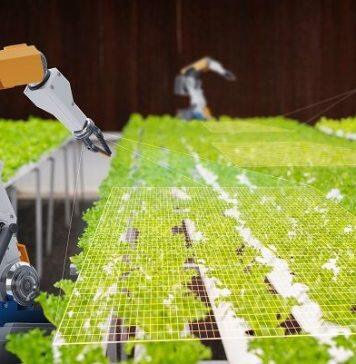 Can robotics help us achieve sustainable development?