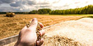 Novel polymers could lead to greater crop yields for farmers