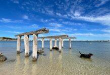 Experts identify priorities for coastal research in Western Australia
