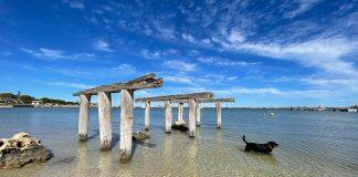 Experts identify priorities for coastal research in Western Australia