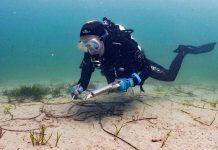 WA’s leading scientists to share marine expertise with local students