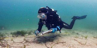 WA’s leading scientists to share marine expertise with local students