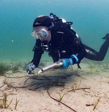 WA’s leading scientists to share marine expertise with local students