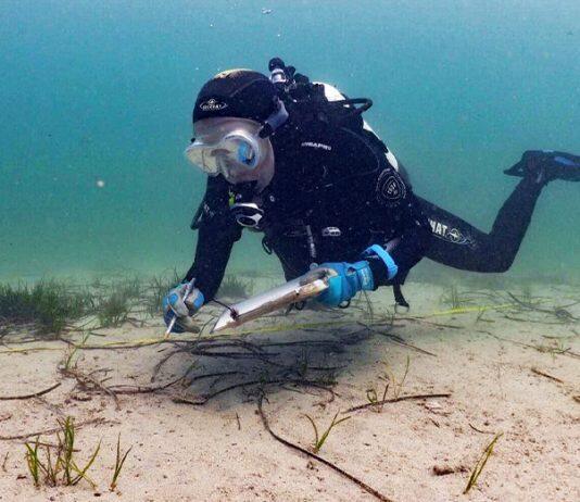 WA’s leading scientists to share marine expertise with local students
