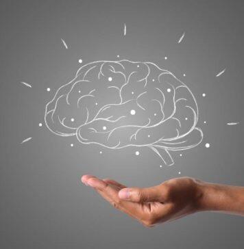 Combining genetics and brain MRI can aid in predicting chances of Alzheimer’s disease