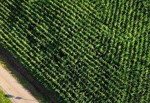 Trade deals and changing diets key influencers in securing nutrient rich food