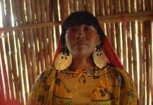 Monash University scientists star in documentary to premiere at the Melbourne International Film Festival