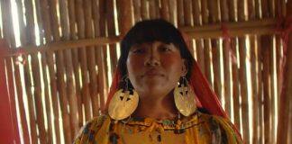 Monash University scientists star in documentary to premiere at the Melbourne International Film Festival