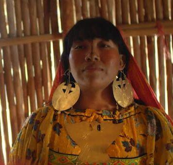 Monash University scientists star in documentary to premiere at the Melbourne International Film Festival