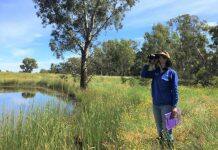 Bird prediction tool takes flight in Eureka prizes