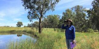 Bird prediction tool takes flight in Eureka prizes